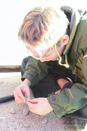 exploring rocks with kids-6