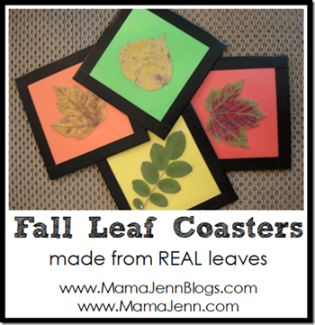 fall leaf coasters