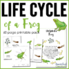 Frog Life Cycle Printables