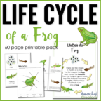 Frog Life Cycle Printables