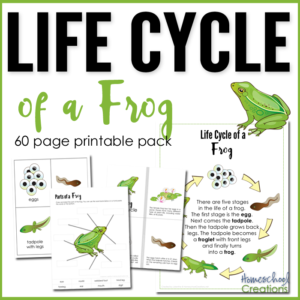 Frog Life Cycle Printables