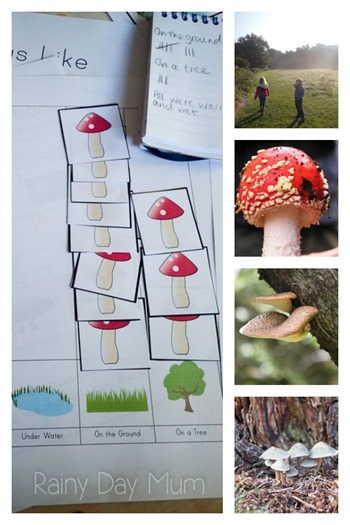 fungus-investigation-collage