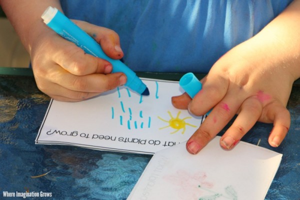 gardening-ideas-preschool-kids-observation-journal