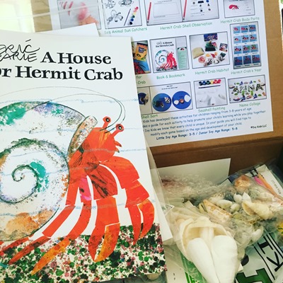 house for hermit crab Ivy Kid kit