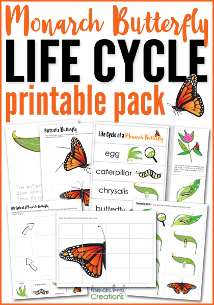 50 page printable pack for Life Cycle of a Monarch Butterfly from HomeschoolCreations.net