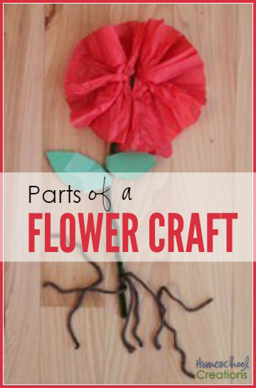 parts of a flower craft - a simple activity to learn about basic flower anatomy