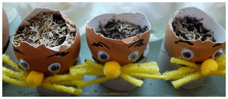 seed-plant-eggshel-lorax-children