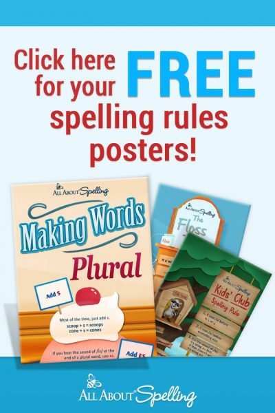 spelling rules poster